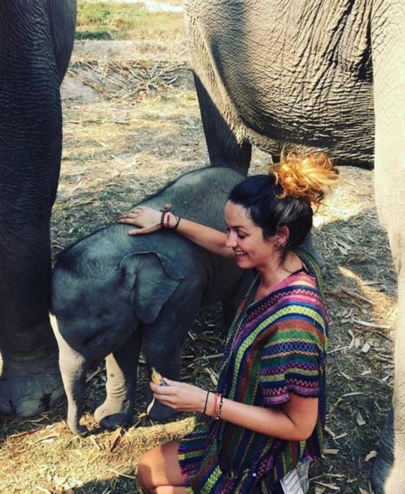 Baby Elephant in Thailand